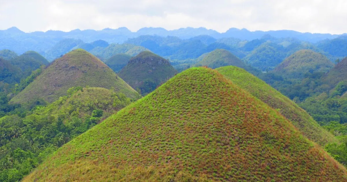 Bohol tour